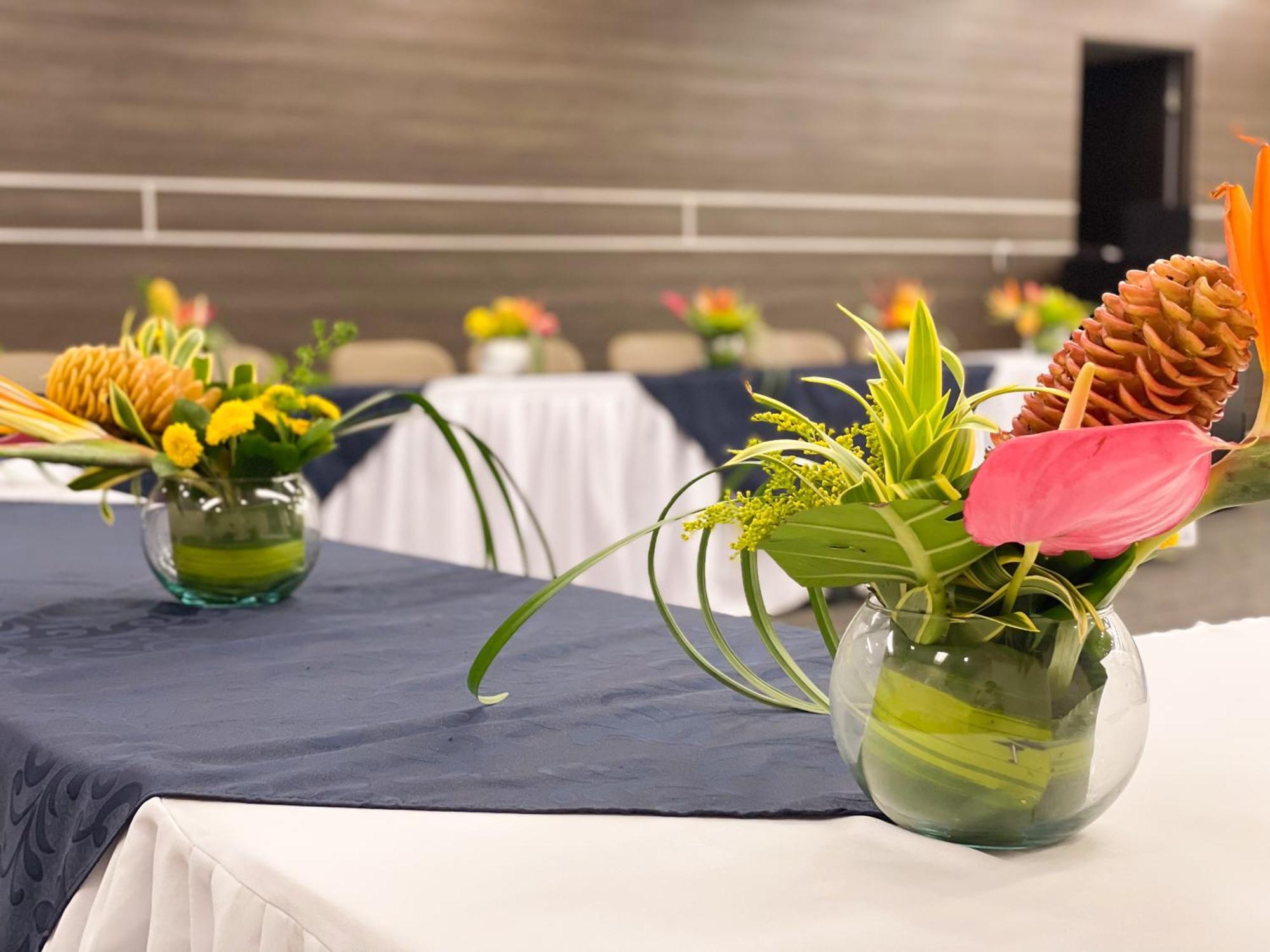 אראוקה Hotel Punta Arena Spa Boutique מראה חיצוני תמונה